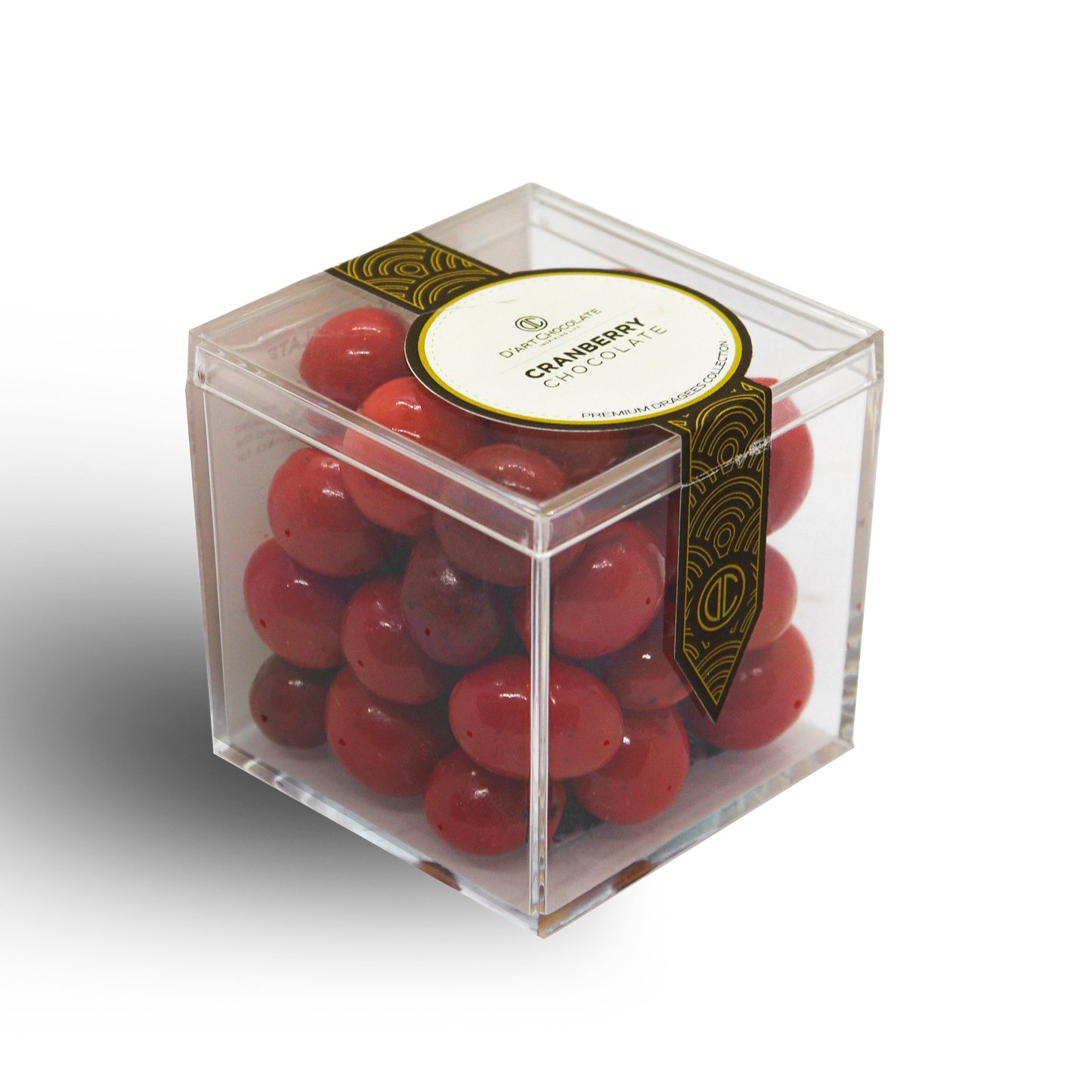 Nam Việt Quất Phủ Socola