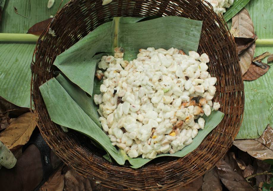 SOCOLA ĐƯỢC LÀM TỪ GÌ?