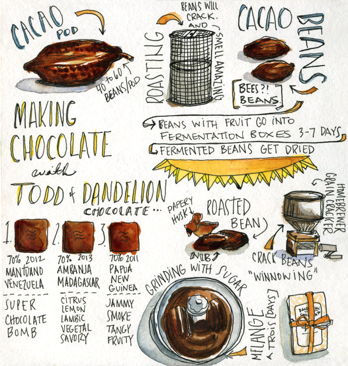 NHỮNG YẾU TỐ CẤU THÀNH NÊN GIÁ TRỊ CỦA SOCOLA